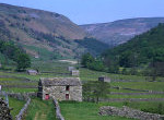 View of field barns in Swaledale